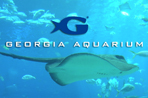 GEORGIA AQUARIUM